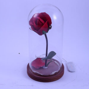 Rose Mini Display